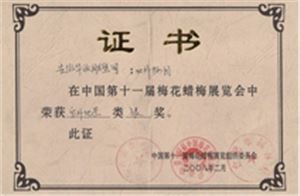 華派雕塑梅花臘梅展覽會銀獎